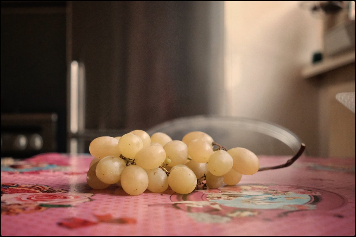 Karel Gabler tweet media