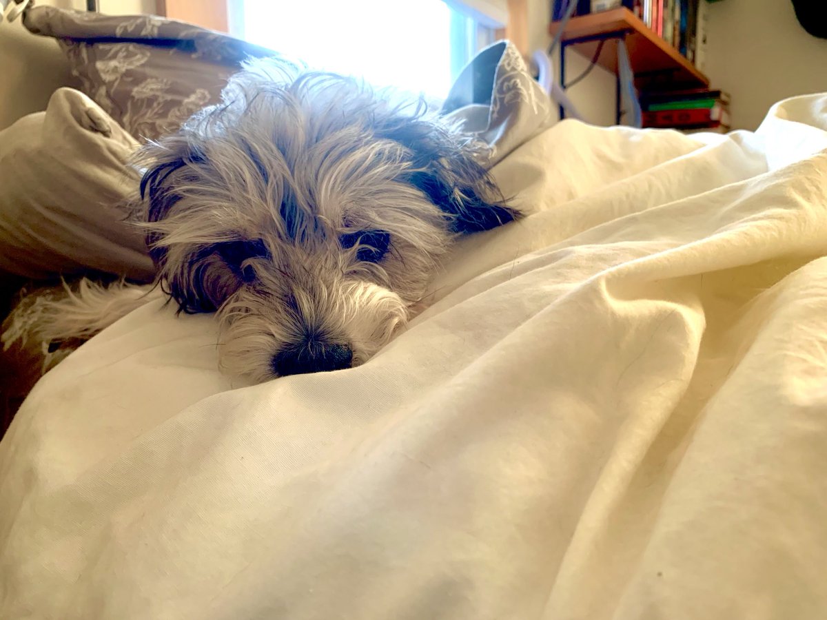 's tweet image. I’m not ready for Saturday.