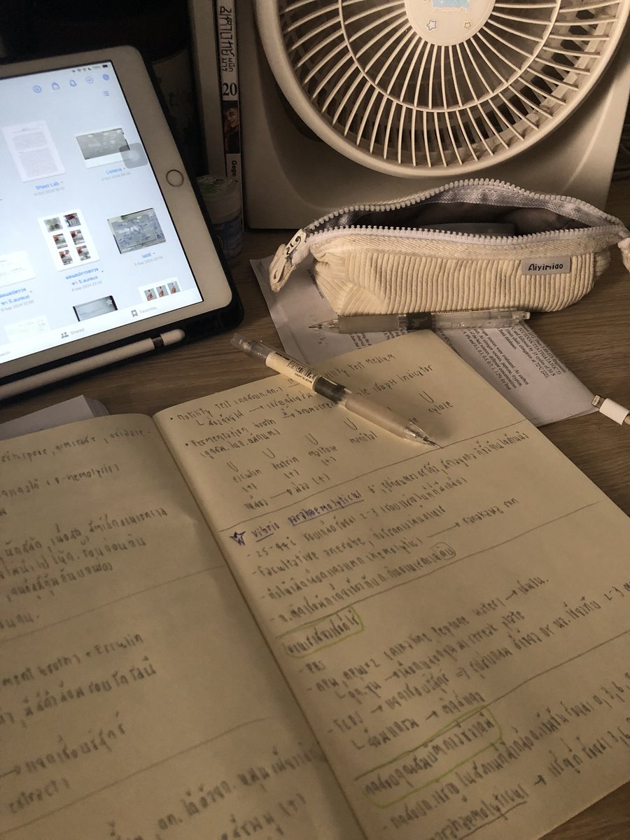 wednsei's tweet photo. Final exam week ⭐️🍏 https://t.co/NtCRDmsWiA
