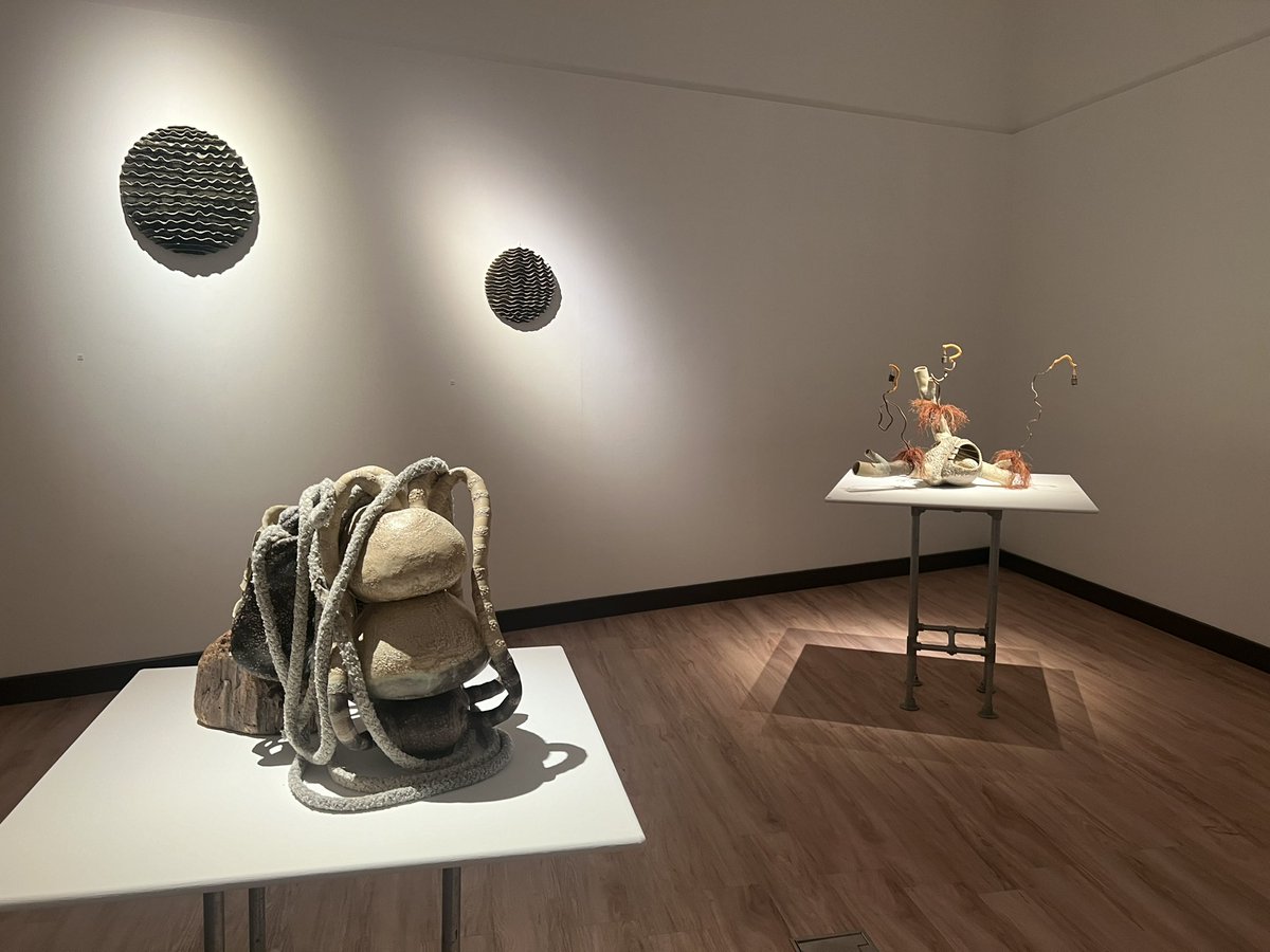 emyr_wyn's tweet photo. Privileged to be at the opening of a wonderful, intriguing exhibition of Ceramic Sculpture by local artist Sarah Villeneau - @s_vills - at #Doncaster Art Gallery @DanumGLAM 
Definitely worth a visit! https://t.co/Yoe1F7clQ7