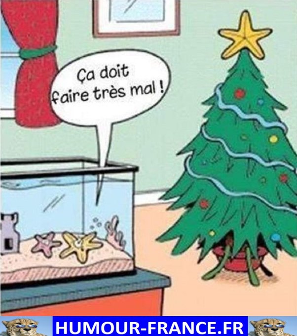text alternatif