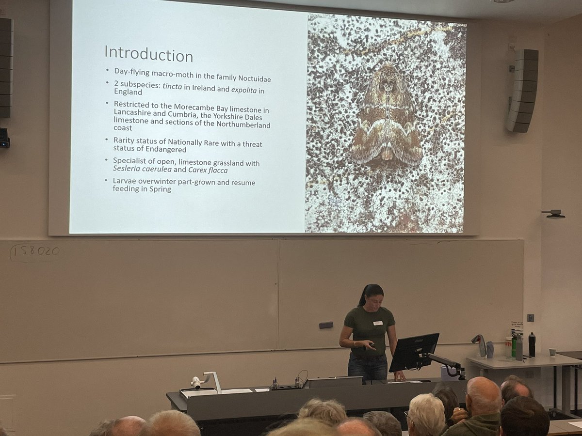 Great research from Rosa Menendez, Clementine Larter and Tom Kenny on #BrownHairsteak butterflies. Also N2 effects on Butterflies by Hannah Risser, and Justin Patton on finding Least Minor moth larva. Today at student research conference <a href="/LancsUniLEC/">Lancaster Environment Centre</a> with <a href="/savebutterflies/">Butterfly Conservation 🦋</a>