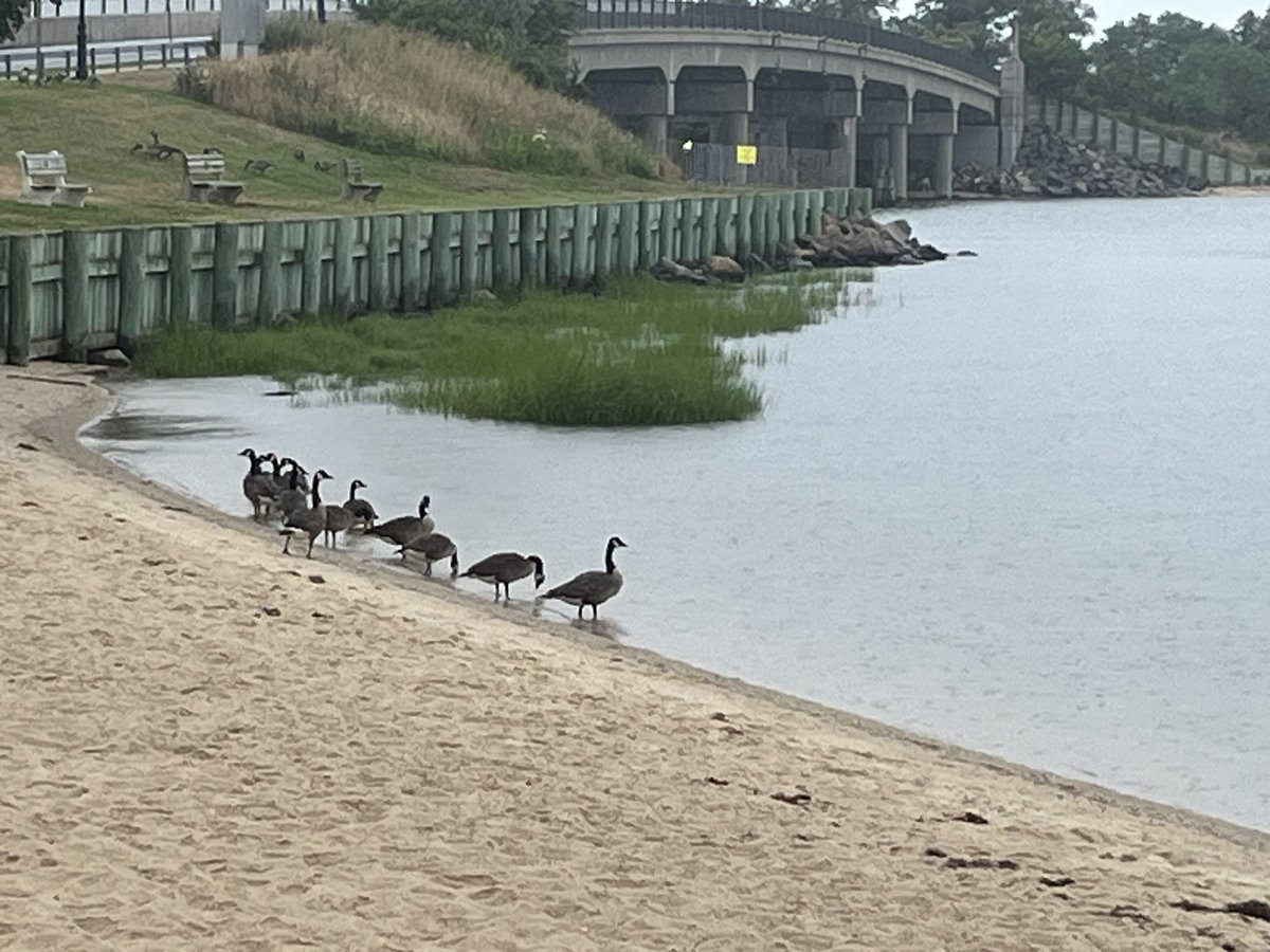 BostonSailors's tweet photo. @RCederfjard https://t.co/Btkw7PspnH