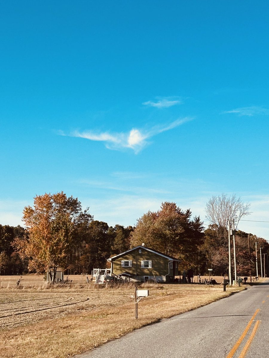 Fly Eagles Fly 🦅 #GoBirds