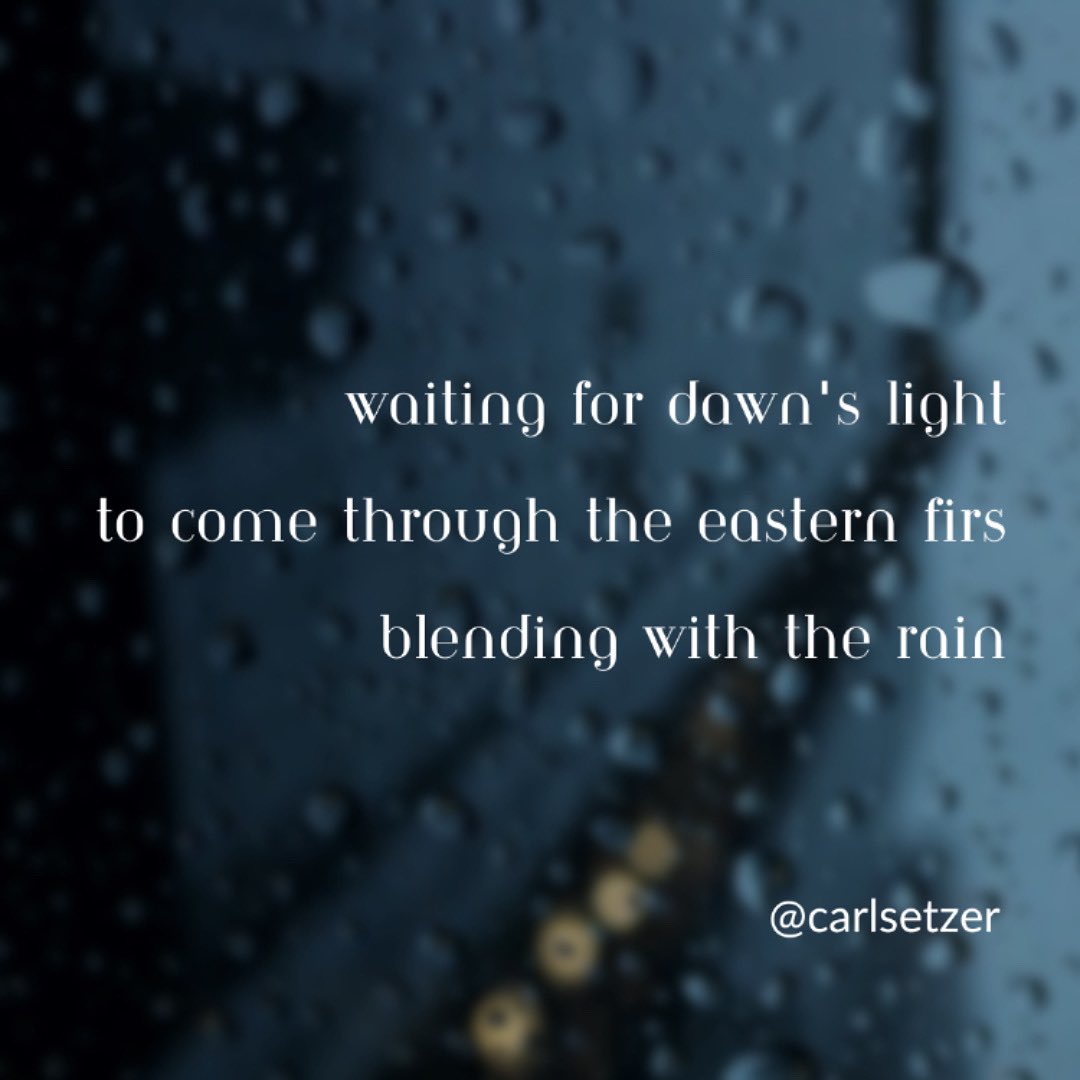 Carl Setzer tweet media