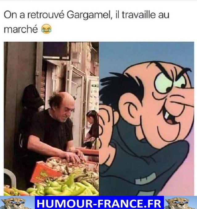 text alternatif