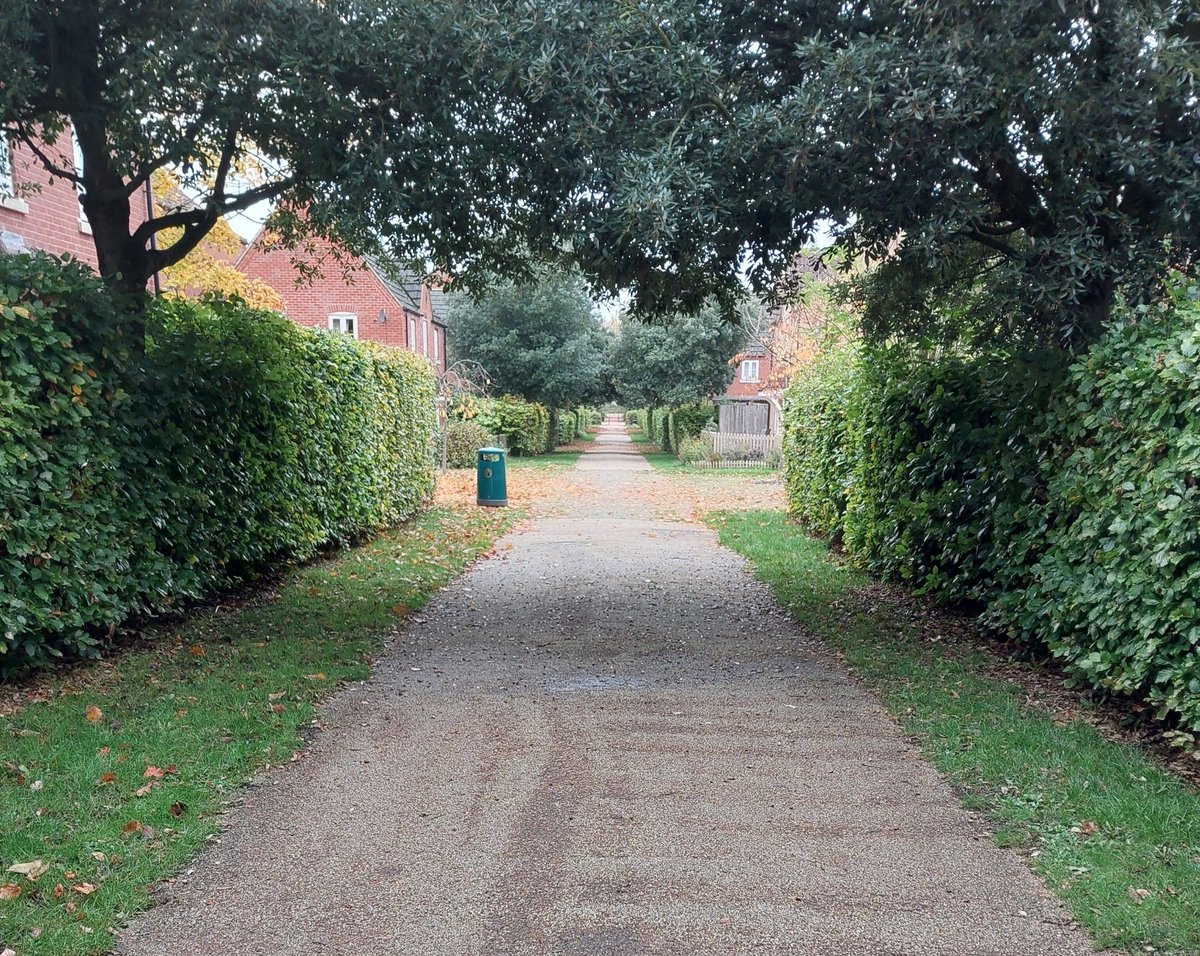 Making enquiries in relation to antisocial behaviour and criminal damage being caused by young people, kicking doors and the wood bus stops, Witham St Hughs. PCSO Sarah