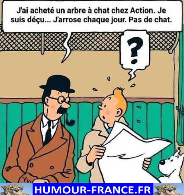 text alternatif