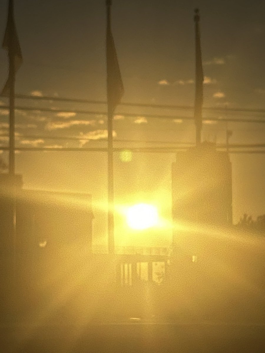 Steve Cook tweet media