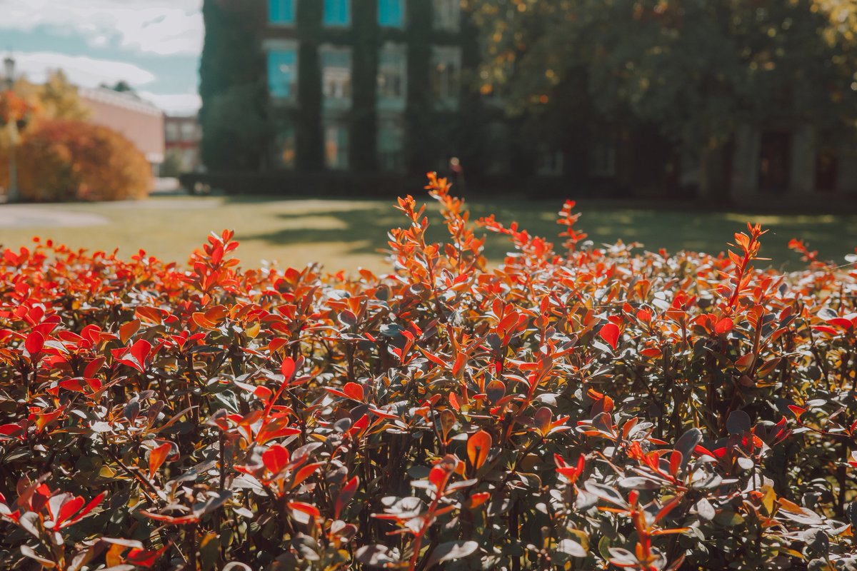 Richard B Colón tweet media