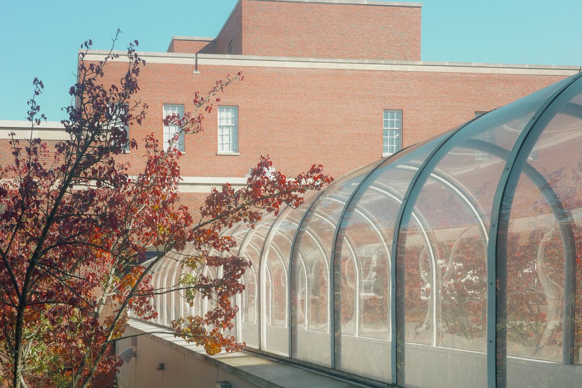 Richard B Colón tweet media