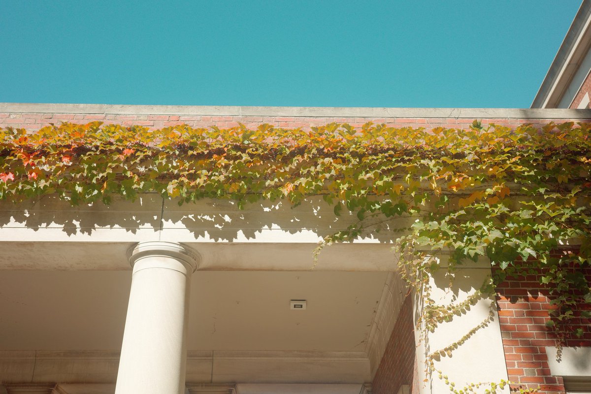 Richard B Colón tweet media