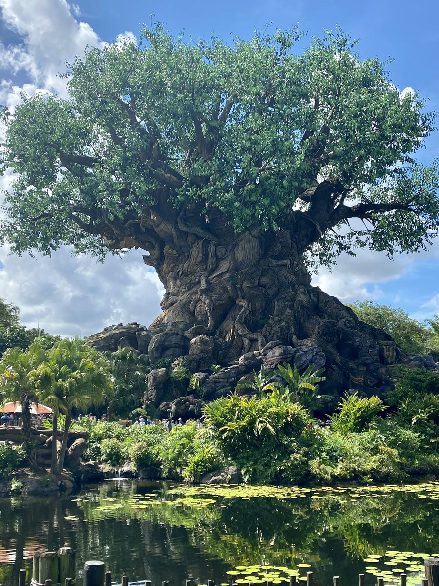 @Hydrolator1 tweet media