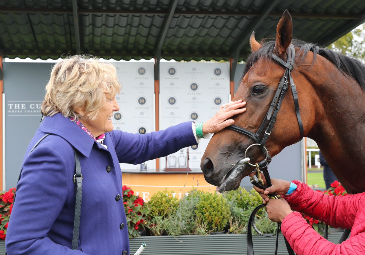 Racing Post Bloodstock tweet media