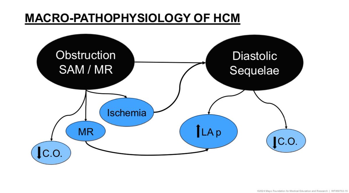 Sukriti Banthiya, MD (@sukritibanthiya) on Twitter photo <a href="/SteveOmmen/">Steve Ommen, MD</a> 7/ Clinical Pearl 🦪 - Obstruction begets diastolic dysfunction”
💕 ⬆️ LV filling pressures -> Coronary perfusion -> ischemia🩸-> diastolic dysfunction -> ⬆️ LA pressures -> LV filling pressures <a href="/SteveOmmen/">Steve Ommen, MD</a> 7/ Clinical Pearl 🦪 - Obstruction begets diastolic dysfunction”
💕 ⬆️ LV filling pressures -> Coronary perfusion -> ischemia🩸-> diastolic dysfunction -> ⬆️ LA pressures -> LV filling pressures