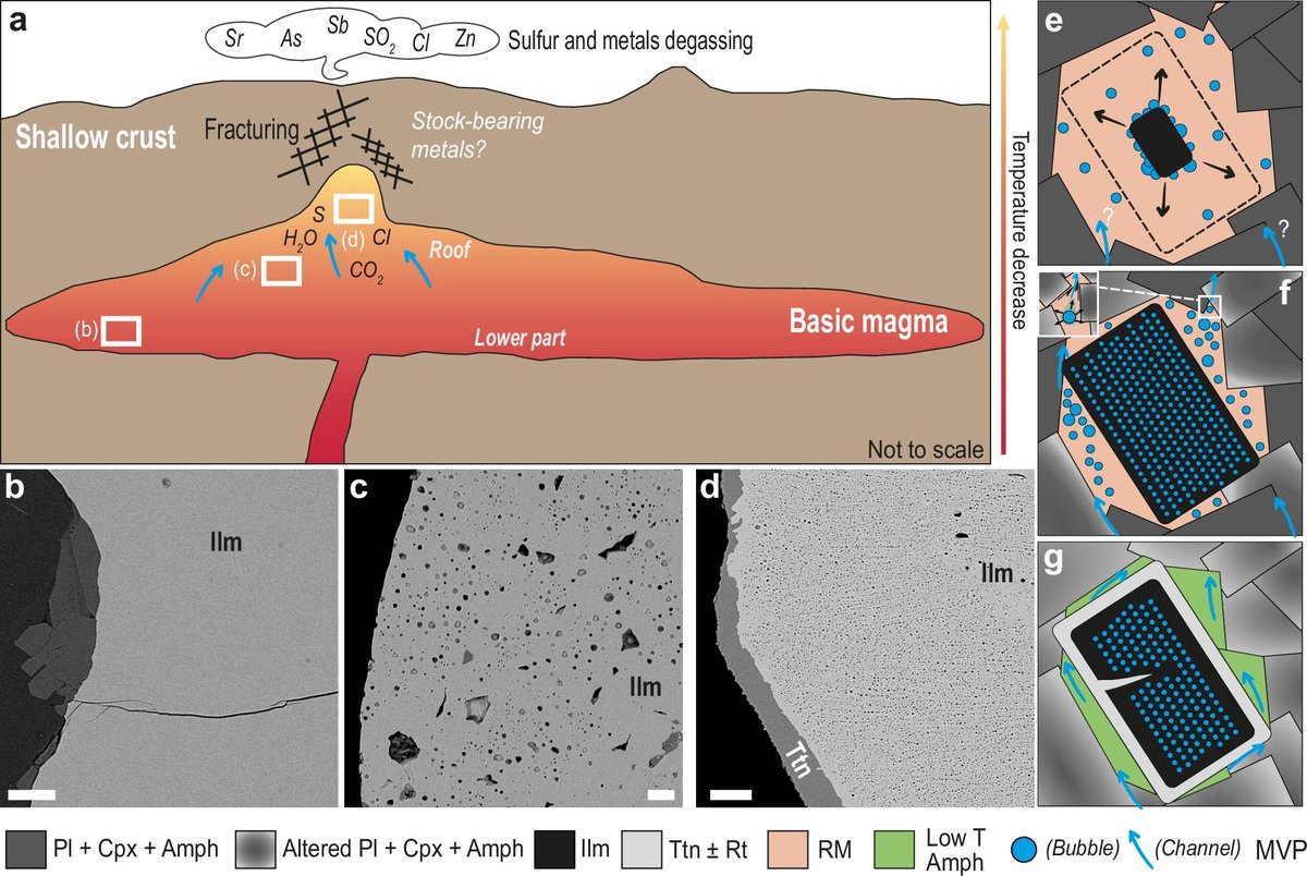 CommsEarth's tweet image. ▶️Fluid inclusions within ilmenite record primary magmatic fluids in intrusive mafic rocks and may work as a proxy for mafic #magma degassing.

@BRGM_fr @UMR_ISTO 

👉nature.com/articles/s4324…

#petrology #volcanology