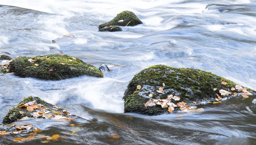 Pete Skyrme - windy-isle-photography (@peterskyrme) on Twitter photo Nearly didn’t get the camera out this morning. Took one shot, the second image is a severe crop from the first. You can play ‘spot the crop’ if you like - no prizes to be had, I ate the bacon sarnie I would’ve offered, reet tasty it was too.
Nice to meet and chat with <a href="/Supergios/">Jonny Gios</a> Nearly didn’t get the camera out this morning. Took one shot, the second image is a severe crop from the first. You can play ‘spot the crop’ if you like - no prizes to be had, I ate the bacon sarnie I would’ve offered, reet tasty it was too.
Nice to meet and chat with <a href="/Supergios/">Jonny Gios</a>