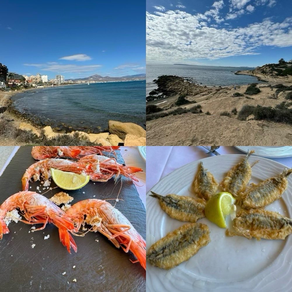 Alexander Chesler (@alex_chesler) on Twitter photo Got to the sea thanks to my amazing host <a href="/neuroviana/">Felix Viana</a>. We need more neuroscience institutes in places like this. Got to the sea thanks to my amazing host <a href="/neuroviana/">Felix Viana</a>. We need more neuroscience institutes in places like this.
