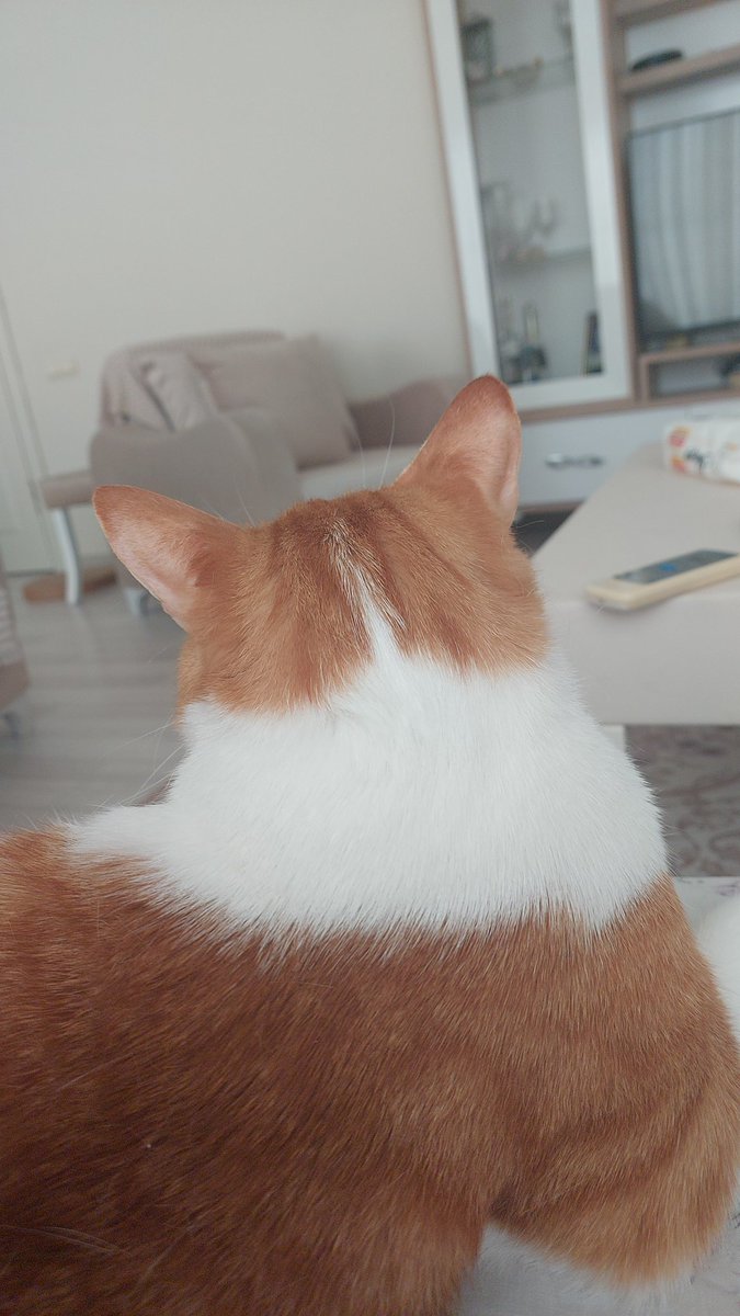 ense tıraşım için berberime teşekkürler