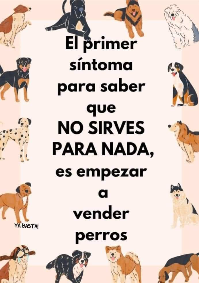Entre perros y gatos (@entrepyg) on Twitter photo 