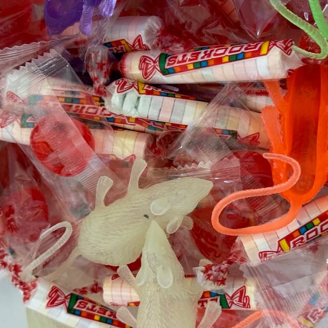 thehermitslamp's tweet image. Come get your spooky on Saturday from 1-4. You can visit our mortuary and ask the dead questions. Get a free tarot reading. See the room that was locked away for decades. We&apos;ll have treats. Find the skulls contest. And more. Family friendly. #BloorCourt #TorontoOntario #BLogTO