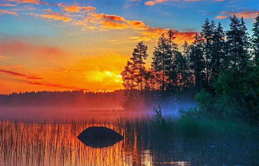 Good evening 🙏 
     
             Have a beautiful evening