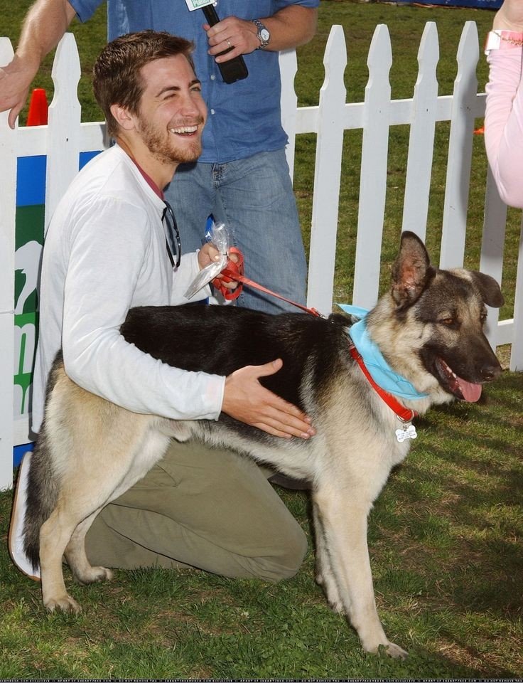 Jgfmee's tweet photo. Jake with puppies, photo series...

#JakeGyllenhaal https://t.co/bO18SwTmcm