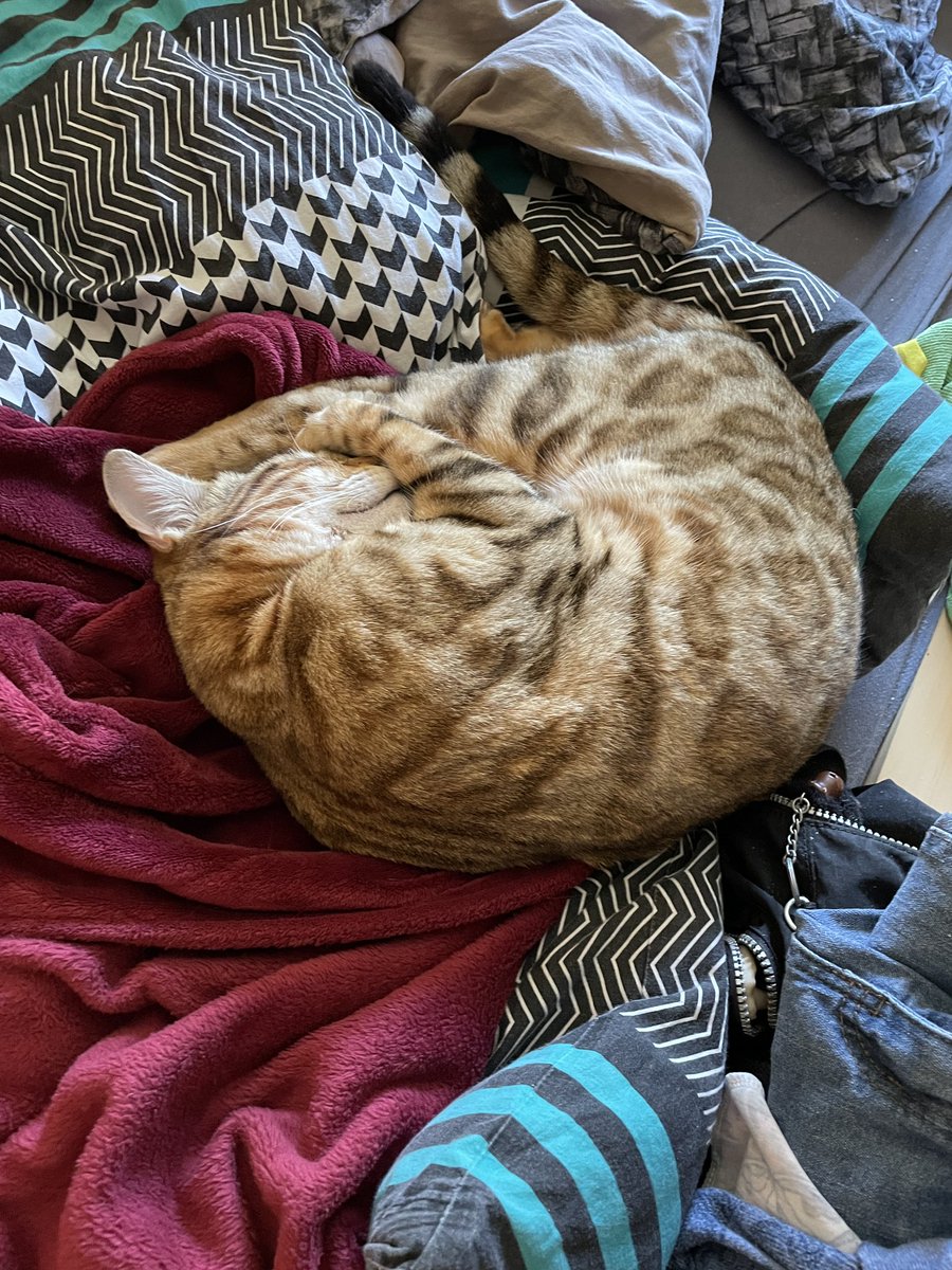 Sweet dreams Carlos🥰