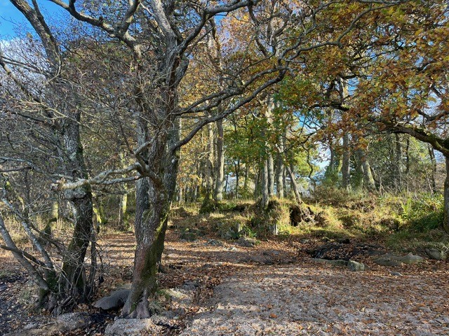 With the clocks 'falling' back tonight we're leaning into autumn here today <a href="/RSPBLochLomond/">RSPB Loch Lomond</a> 🫶🍂

rspb.org.uk/days-out/reser…

<a href="/Natures_Voice/">RSPB</a> <a href="/lovelochlomond/">Love Loch Lomond</a> <a href="/NatureScot/">NatureScot</a> <a href="/lomondtrossachs/">Loch Lomond & The Trossachs</a>