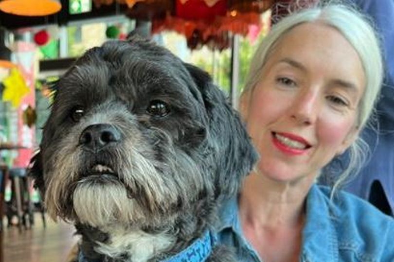 Animal Adoptions UK 🐕‍🦺🐈🐎❤️ tweet media