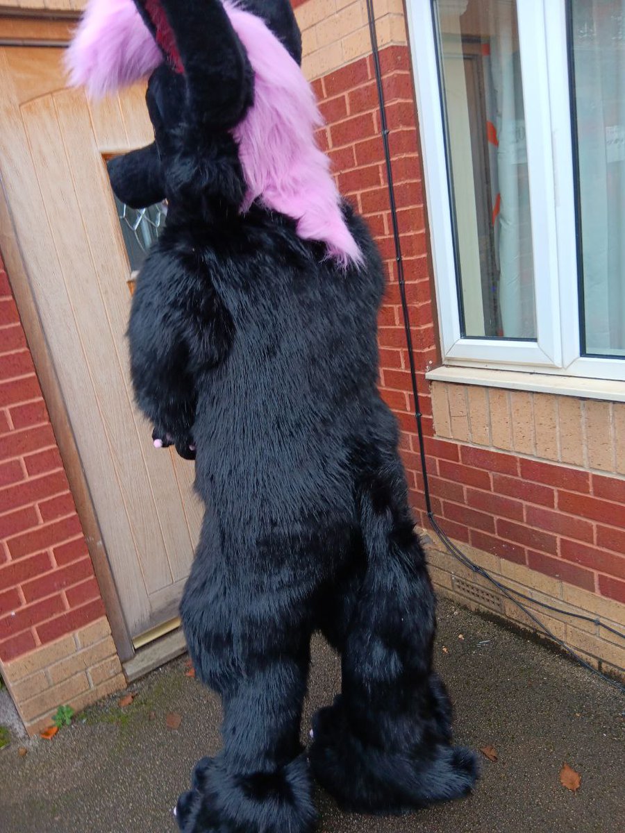 Theres a new wolf in town you better give her some steak 

Maker : <a href="/FluffyDrWolfie/">DrWolfie</a>