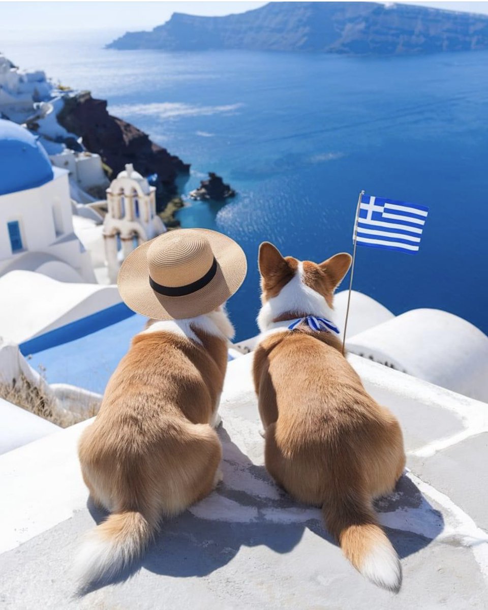 TheLuckyFox_'s tweet photo. Bring me back ๐ฌ๐ท ๐
$WELSH holidays #Santorini ๐#WelshWayOfLife โจ๐พโจ
#WorldWideWelsh โจ๐ฉ๏ธโจ https://t.co/c8ReOnIhW5