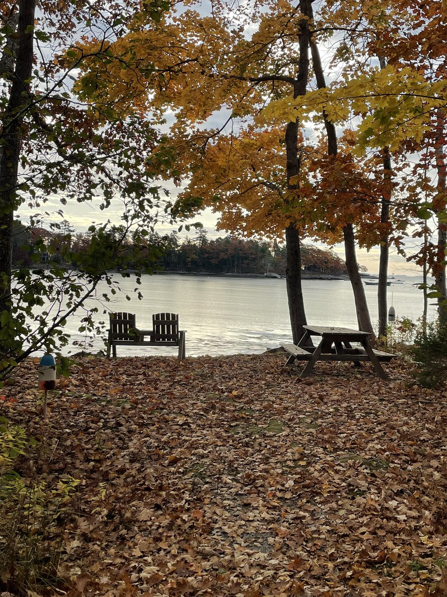 logantcooley's tweet image. Regular exercise is vital for preventing cancer. Any form of movement is better than none. Trail walking / running in Camden, ME- highly recommend!