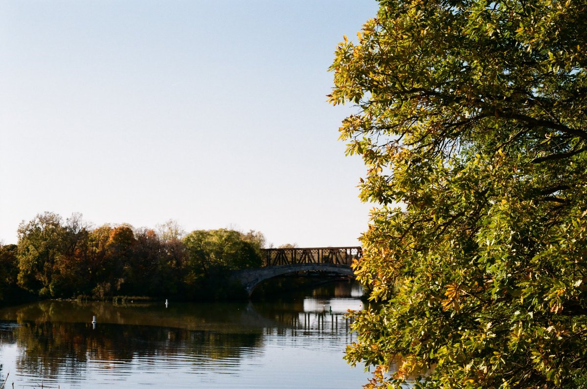 Beth Larter tweet media