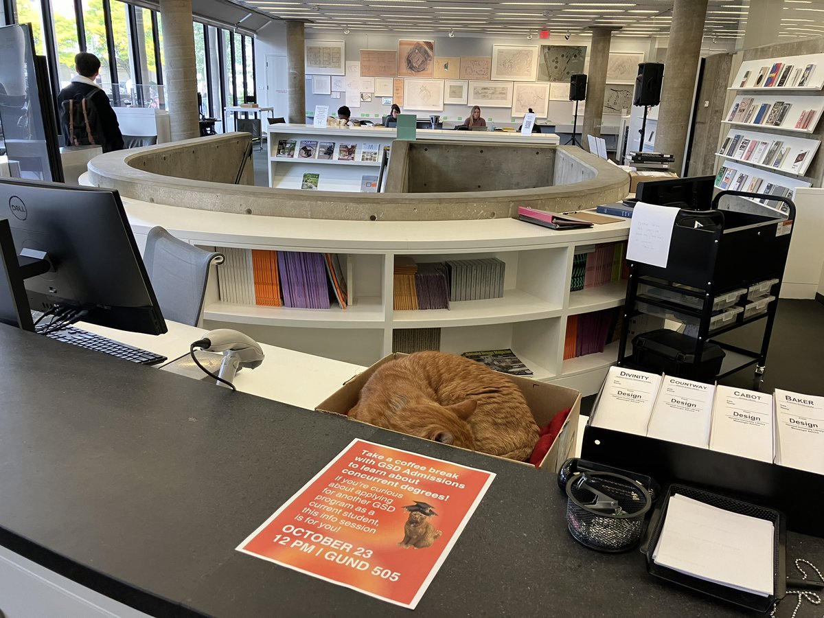 Remy the Cat of Harvard, GSD Library
ハーバードの猫、レミさん。デザイン・スクール図書館でいつもお昼寝。