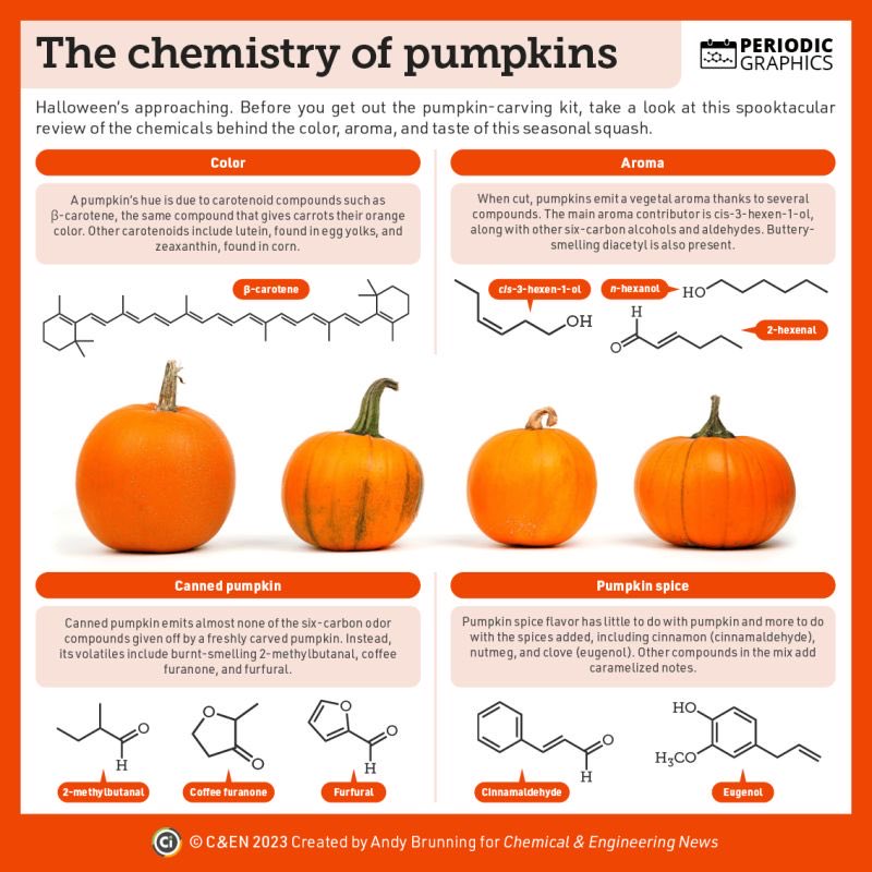 doro2005's tweet photo. The #chemistry of #pumpkins … https://t.co/flspYvJWAJ