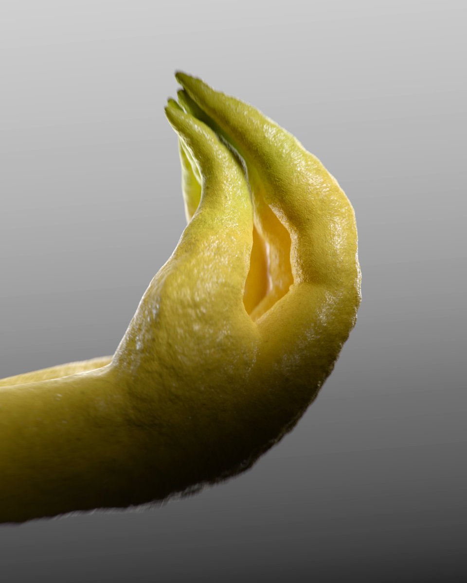 aPronsky's tweet photo. 🤌 #3dart #3d #vray https://t.co/g1t0vgXhFS