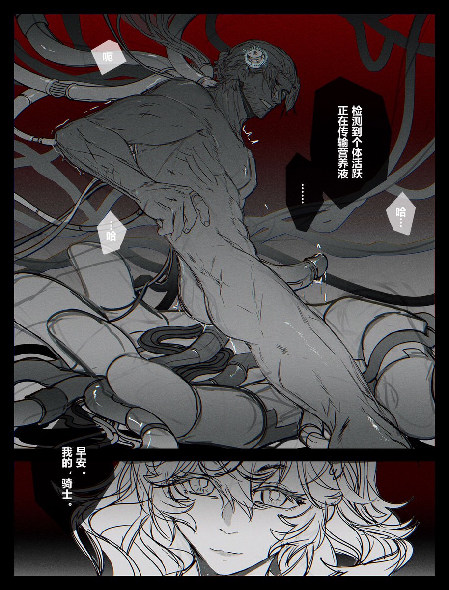 UselessDut tweet media