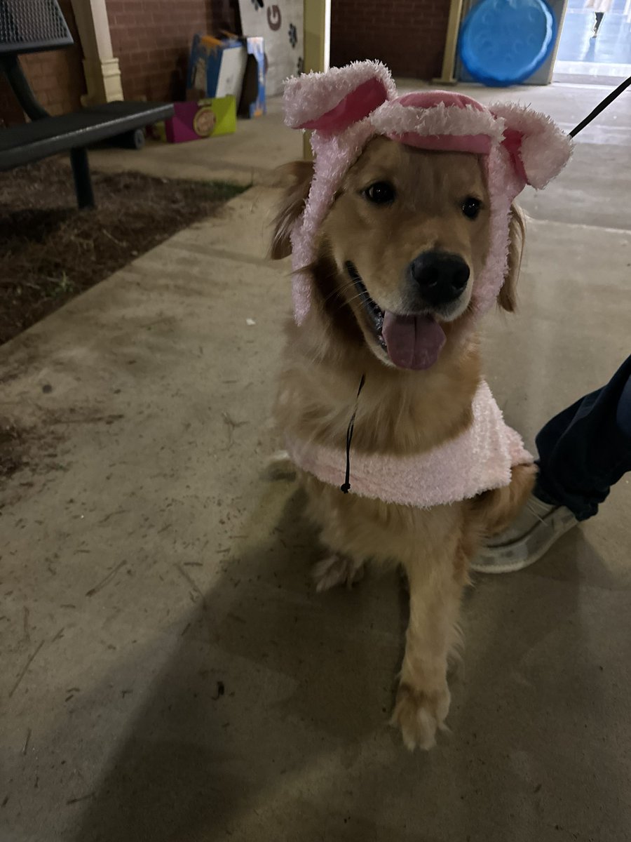 Elyse Durden tweet media