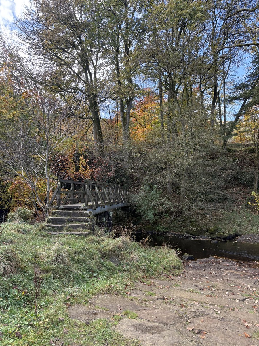 Ibby_tri's tweet image. Lovely 90minutes easy long run today along the six dales trail. Beautiful day with some mixed terrain, so mixed in fact, spent some of it on my arse! 😂 

#trailrunning #muddyrun #northyorkshire #clumsy #ukrunchat #longrun