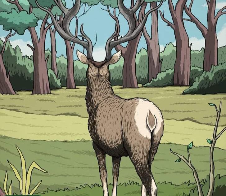 خالد العويمري tweet media