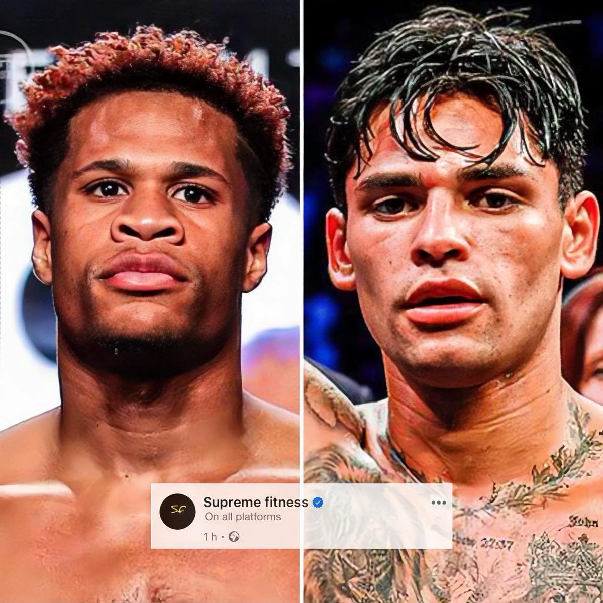 SupremeFitnessO's tweet photo. Devin Haney: They know I'm coming..
Ryan Garcia replying to Haney: No they don't
ππ
#DevinHaney #RyanGarcia #BoxingRivalry #FightTalk #MMA #Humor https://t.co/lwuF2lveKs