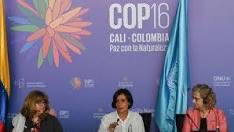 La COP16 est considérée comme l'événement le plus important au monde pour la conservation de la biodiversité. Ce sommet se déroule à Cali, la troisième plus grande ville de la Colombie qui accueille quelque 15.000 participants, dont une douzaine de chefs d'État, 103 ministres et
