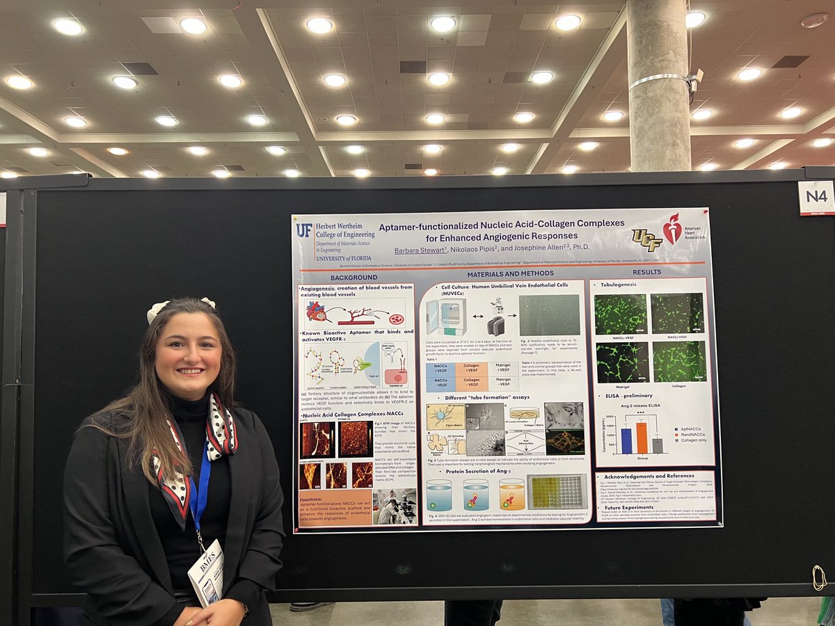 UF BME (@ufbme) on Twitter photo Barbara Stewart present her work on Aptamer-functionalized nucleic acid collagen complexes and their function on promoting angiogenesis. <a href="/MSEJAllen/">Josephine Allen</a> <a href="/barbarastewartp/">barbs :(</a> #BMES2024 Barbara Stewart present her work on Aptamer-functionalized nucleic acid collagen complexes and their function on promoting angiogenesis. <a href="/MSEJAllen/">Josephine Allen</a> <a href="/barbarastewartp/">barbs :(</a> #BMES2024