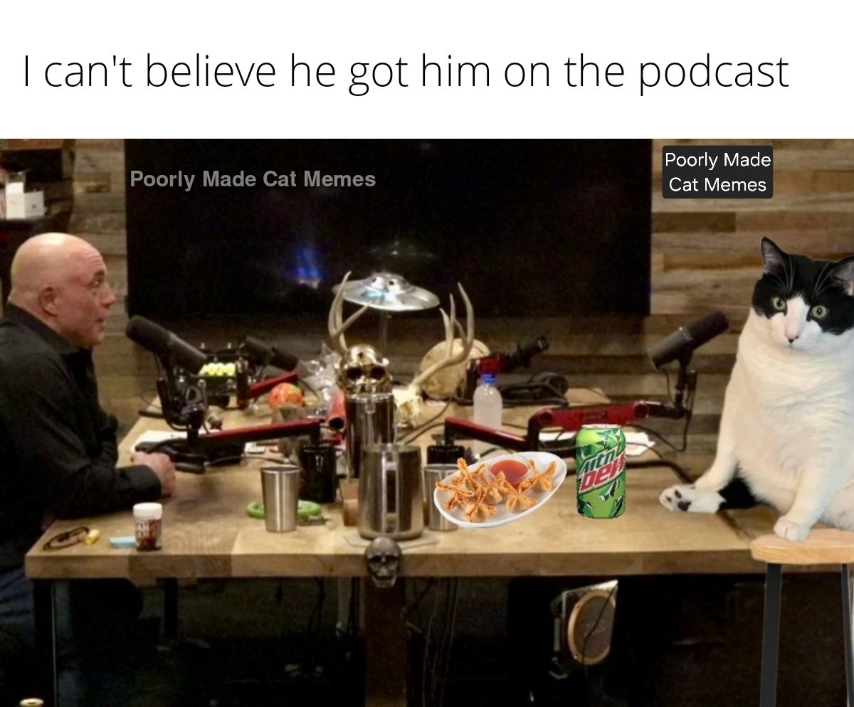 PMCatMemes's tweet photo. @joerogan https://t.co/0C8ZW5wlIM