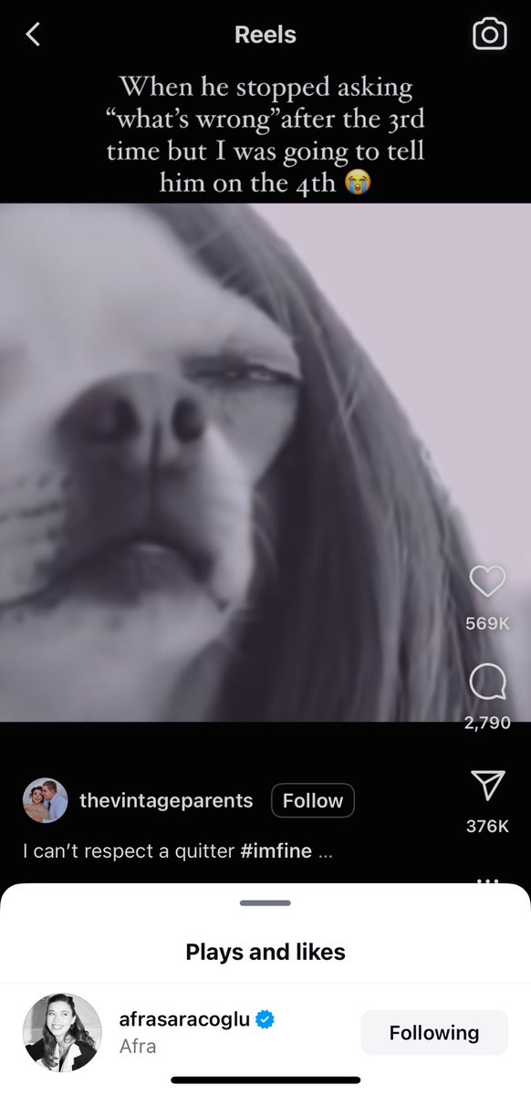 Lmaooo afra liked this post😭😭