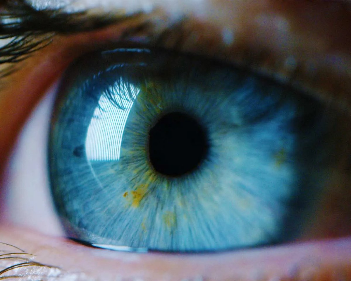 Flowstate

The state of mind where ideas flow effortlessly, problem solving is at it’s peak and you can remain laser-focused on your task without even blinking….