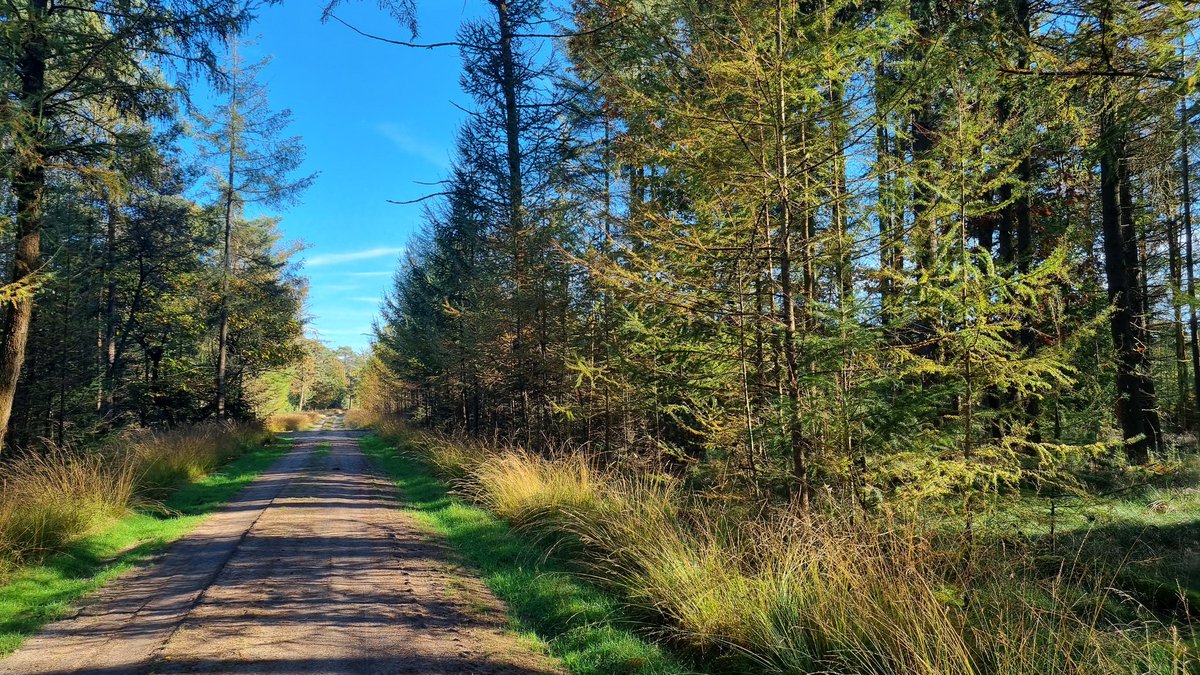 PE1RDP's tweet photo. October 27th and 21 degrees Celcius. Lovely #weather to go for a walk in the #forest
But also #cqww #SSB #contest on #HF

But why not enjoy both?
My 25 year old #Kenwood TH-F7 is SSB capable. 

#hamradio #hamr #AmateurRadio #amateurradio #RadioAmateur #sun #hybrid #choice https://t.co/mClAQABggl