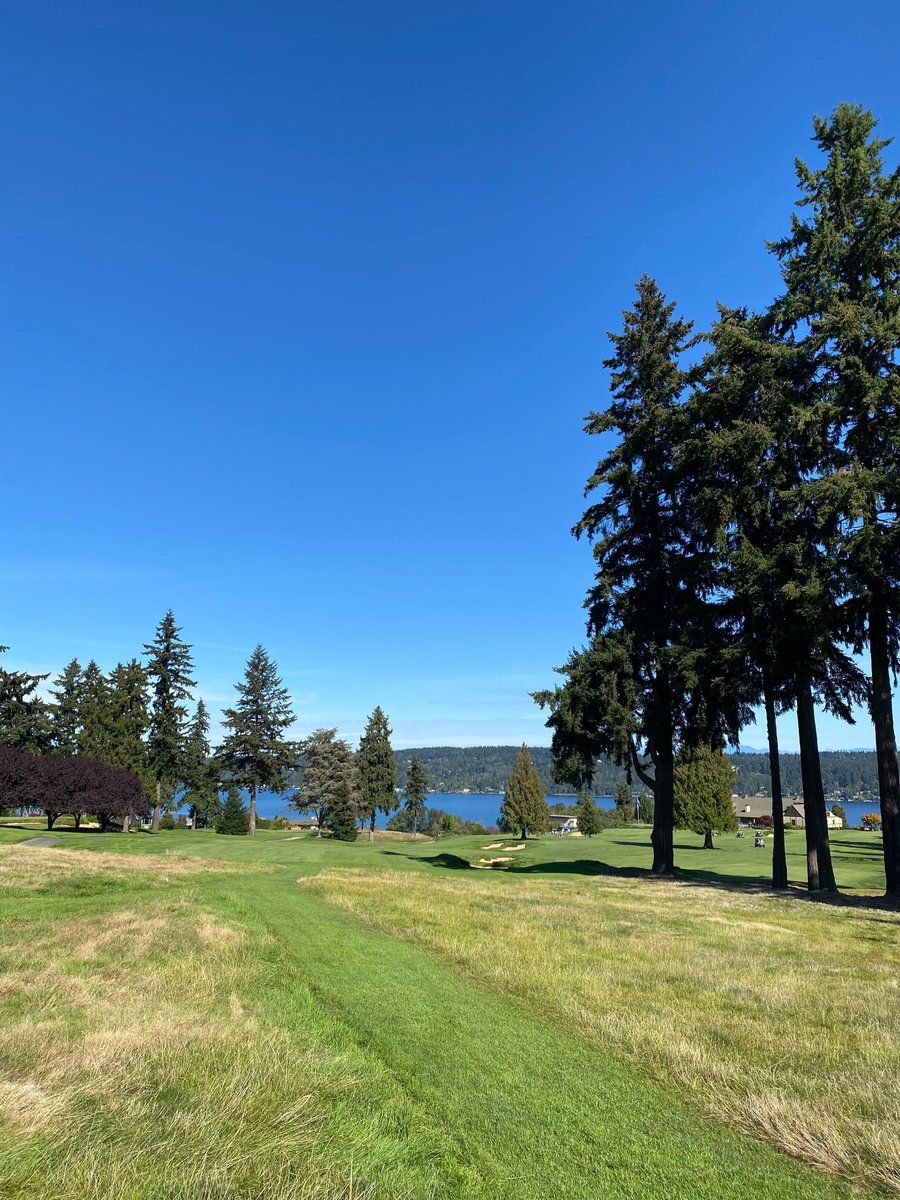 Our finger's wrapped, the sun’s shining, and my ball’s… well, somewhere in the rough. Or the trees.

At least the hands feel good with BirdieWrap. 

Let’s call that a win. 

#SmallVictories #golflife #fixthefeel