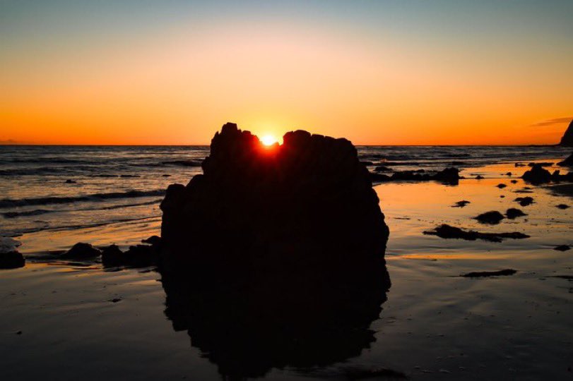 AdmiredArt tweet media